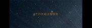 6个月大哈士奇棕色