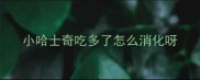 小哈士奇吃多了怎么消化呀