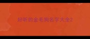 好听的金毛狗名字大全