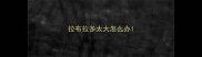 拉布拉多太大怎么办