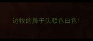 边牧的鼻子头颜色白色