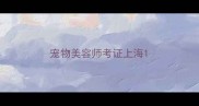 宠物美容师考证上海