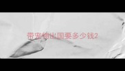 带宠物出国要多少钱