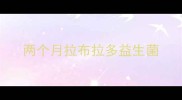 两个月拉布拉多益生菌