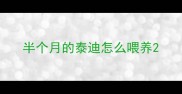 半个月的泰迪怎么喂养