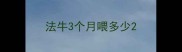 法牛3个月喂多少
