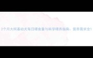 2个月大柯基幼犬每日喂食量与科学喂养指南营养需求全