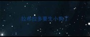 拉布拉多要生小狗了