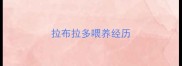 拉布拉多喂养经历