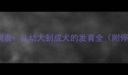 哈士奇停止生长时间表从幼犬到成犬的发育全附停止长高的5大信号