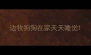 边牧狗狗在家天天睡觉