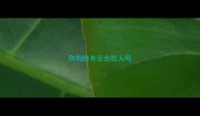 狗狗绝育还会咬人吗