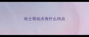 哈士奇幼犬有什么特点