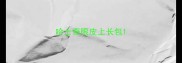 哈士奇眼皮上长包