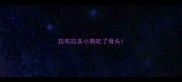 拉布拉多小狗吃了骨头