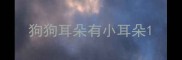 狗狗耳朵有小耳朵