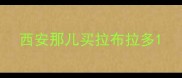 西安那儿买拉布拉多