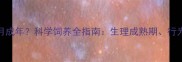 牡丹鹦鹉多少个月成年科学饲养全指南生理成熟期行为发育与饲养要点