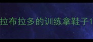 拉布拉多的训练拿鞋子