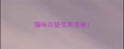 猫咪肉垫变黑变硬