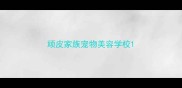 顽皮家族宠物美容学校