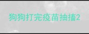 狗狗打完疫苗抽搐