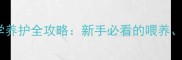 两个月大猫咪30天科学养护全攻略新手必看的喂养疫苗与行为训练指南