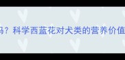 狗狗能吃西蓝花吗科学西蓝花对犬类的营养价值与安全食用指南