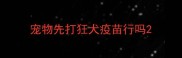 宠物先打狂犬疫苗行吗
