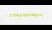 宠物店能给狗狗看病吗