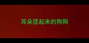 耳朵竖起来的狗狗