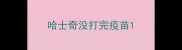 哈士奇没打完疫苗