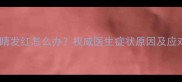 猫咪眼睛发红怎么办权威医生症状原因及应对措施