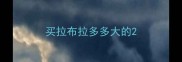 买拉布拉多多大的