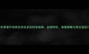 冬季室外饲养拉布拉多的科学指南品种特性保暖策略与常见误区
