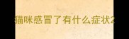 猫咪感冒了有什么症状