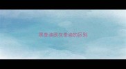 黑泰迪跟灰泰迪的区别