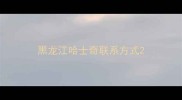 黑龙江哈士奇联系方式