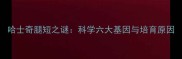 哈士奇腿短之谜科学六大基因与培育原因