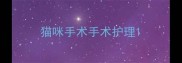 猫咪手术手术护理