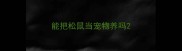 能把松鼠当宠物养吗