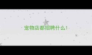 宠物店都招聘什么
