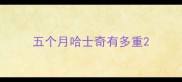 五个月哈士奇有多重