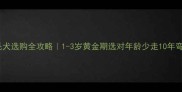 金毛犬选购全攻略1-3岁黄金期选对年龄少走10年弯路