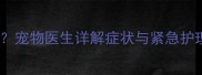 犬瘟热呕吐拒食怎么办宠物医生详解症状与紧急护理指南附诊疗流程