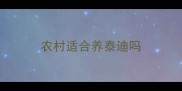 农村适合养泰迪吗