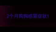 2个月狗狗感冒症状