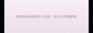狗狗突然抽搐是什么原因这些症状需警惕