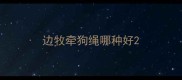 边牧牵狗绳哪种好