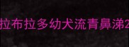 拉布拉多幼犬流青鼻涕